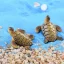 Mini Sea Turtle Resin Aquarium Ornament Decor