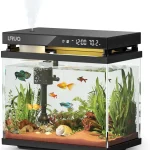 2 Gallon Glass Fish Bowl Vase with Wooden Base 1