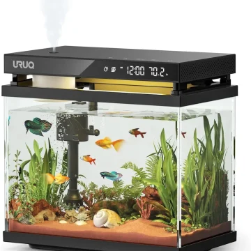 2 Gallon Glass Fish Bowl Vase with Wooden Base 1