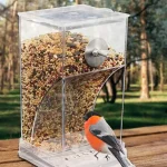 Acrylic Anti Spill Parrot Feeder and Drinker 4 | PricZone