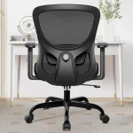 Ergonomic Office Chair with Lumbar Support 1 | PricZone