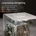 Modern Acrylic Fish Tank with LED Light 3