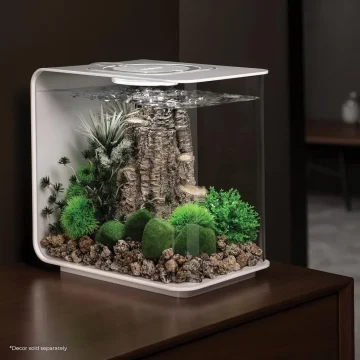 Modern Acrylic Fish Tank with LED Light 1