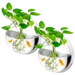 Clear Wall Mounted 1-Gallon Fish Tank Set 1