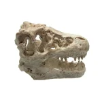 Resin Crocodile Skull Aquarium Decoration Ornament 1 | PricZone