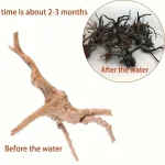 Natural Tree Trunk Aquarium Decoration   Sunken Wood 4 | PricZone