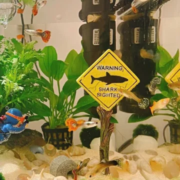 Creative Resin Warning Signs for Aquarium Decor 2