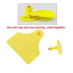 Multi Color TPU Cow Ear Tags for Livestock   5Pcs 3 | PricZone