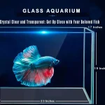 Large Glass Fish Tank Ultra Clear Borderless Aquarium 3