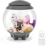 Mini Aquarium Modern Compact Water Tank for Desktop or Desktop Display Fish Tank Grey Fish Aquatic Pet Supplies 6