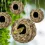 Natural Reed Grass Bird Nest – Outdoor Hanging Cage