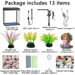 Glass Fish Tank Starter Kit 4.35 Gallon Betta Desktop Aquarium Mini Bowl Shrimp with LED Pump Oxygen Pump Air Intake Water 2