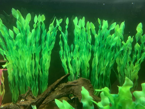 10pcs Artificial Aquarium Plants Fish Tank Decor 6 | PricZone