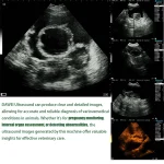 Portable Veterinary Ultrasound Scanner with 35MHz Probe 2 | PricZone