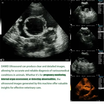 Portable Veterinary Ultrasound Scanner with 3.5MHz Probe 2