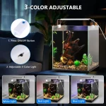 Small Rimless Fish Tank Starter Kit with Filter and LED 4