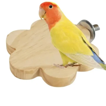 Parrot Perch Stand for Cockatiels and Budgies 1