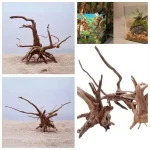 Natural Driftwood Cuckoo Roots Aquarium Decor 6 | PricZone