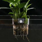 Transparent Aquarium Plant Basket Hanging Planter 1 | PricZone