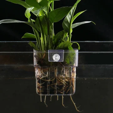 Transparent Aquarium Plant Basket Hanging Planter 1