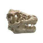 Resin Crocodile Skull Aquarium Decoration Ornament 2 | PricZone