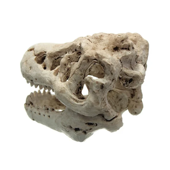 Resin Crocodile Skull Aquarium Decoration Ornament 3 | PricZone