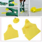 Multi Color TPU Cow Ear Tags for Livestock   5Pcs 5 | PricZone