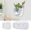 Hanging Wall Vase Hydroponic Plant Pot Aquarium
