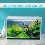 Large Glass Fish Tank Ultra Clear Borderless Aquarium 6