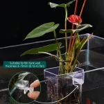 Transparent Aquarium Plant Holder  Fish Tank Planter 6 | PricZone