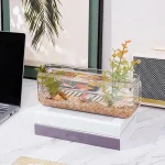 Hanging Wall Vase Hydroponic Plant Pot Aquarium 4