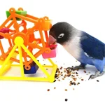 Colorful Parrot Foraging Windmill Feeder Toy 5 | PricZone