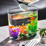 Plastic Tabletop Fish Tank Hydroponics Aquarium 5