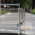 No Mess Acrylic Parrot Feeder for Small Birds 4