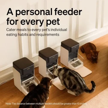 Smart WiFi RFID Cat Feeder with App Control 2