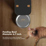Automatic Dog Feeder with Timer Control 5