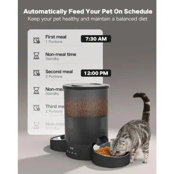 Dual Cat Feeder with Timer and Stainless Bowls 2 | PricZone Dual Cat Feeder with Timer and Stainless Bowls 2 | PricZone