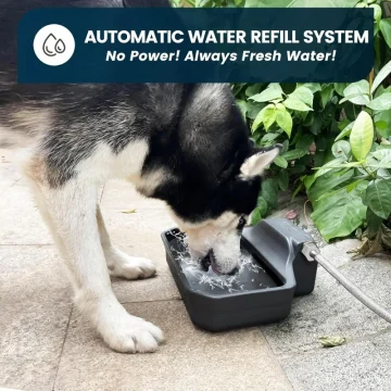 Automatic 1-Gallon Outdoor Dog Water Dispenser 2