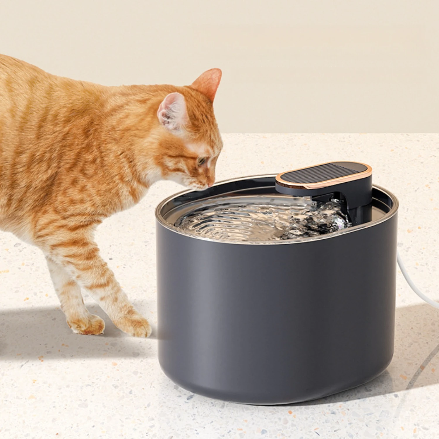 3L Cat Dog Water Fountain Automatic Dispenser 5 3L Cat Dog Water Fountain Automatic Dispenser 5