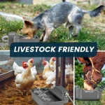 Automatic 1-Gallon Outdoor Dog Water Dispenser 5