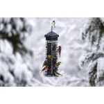 Squirrel Solution200 Squirrel-proof Bird Feeder w/6 Feeding Ports, 3.4-pound Seed Capacity 6