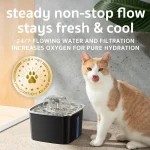 Stainless Steel Cat Water Fountain 95oz 6