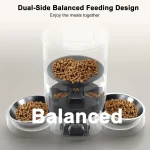 Dual Cat Feeder with Timer and Stainless Bowls 3
