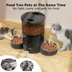 Dual Cat Feeder with Timer and Stainless Bowls 4
