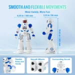 Programmable RC Robot Toy with Gestures 6