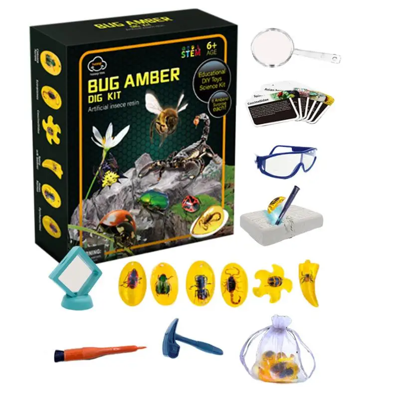 Amber Fly Excavation STEM Toy Kit for Kids 1 Amber Fly Excavation STEM Toy Kit for Kids 1