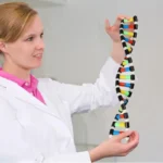 DNA Double Helix Model Kit for Kids 1