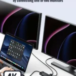 Lemorele USB-C Hub 10Ports Docking Station USB Type C to Dual HDMI 4K 30Hz VGA USB 3.0 Adapter PD100W SD Card Reader for MacBook 5