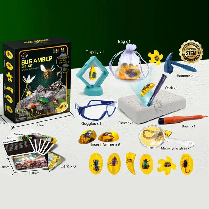 Amber Fly Excavation STEM Toy Kit for Kids 5 Amber Fly Excavation STEM Toy Kit for Kids 5
