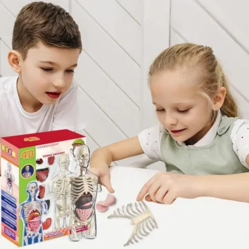 Transparent Kids Human Anatomy Science Kit 2